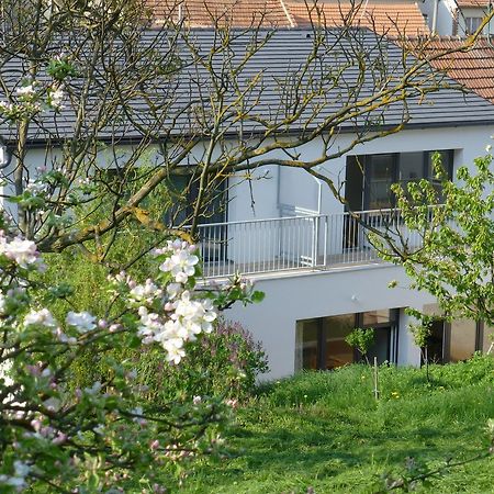 Ferienwohnung Pod Kralicim Vrchem Milovice  Exterior foto