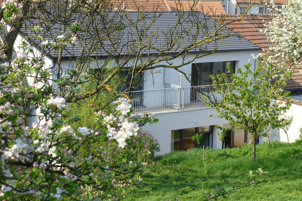 Ferienwohnung Pod Kralicim Vrchem Milovice  Exterior foto